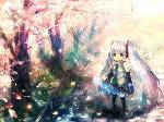 PP~~