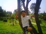 cvfds