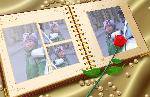 PIC_0251_conew1