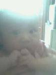 IMG0231A