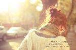 1f36b1955a2bbc2a7bf480c0