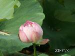 PICT3884
