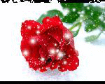 Ƭ