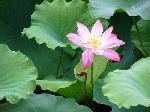 nEO_IMG_P1000156