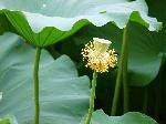 nEO_IMG_P1000160