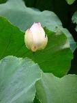 nEO_IMG_P1000169