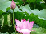 nEO_IMG_P1000170