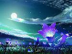 4cc799164b11f8234a90a797