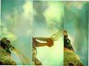 images[11]