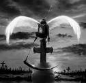 images[43]