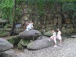 SANY0164