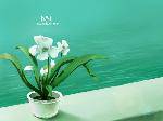 Think