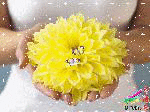 4b1de989522ebcb1a4c272f4
