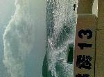 20090204