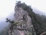 ¾