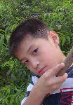 ڸPOSE