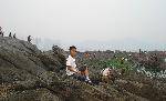 DSC03522