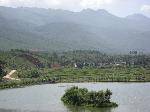 IMG_0175