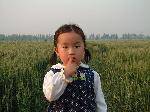 Сʱ
