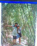 IMG0479A