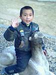 IMG0065A