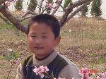 Сʱ
