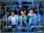 01d9ddd895c5f81732fa1c95