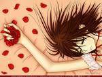 images[11]