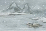 xinsrc_30211013013028972228430