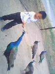 IMG0242A