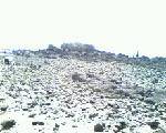 IMG0169A