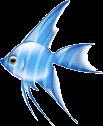 c00229e2c63afc973deca8d9d918510f