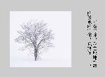 a48e4dddacc76f9771fd3a6595fc3ad5