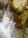 20090817188