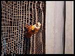 nEO_IMG_P1000130