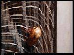 nEO_IMG_P1000121