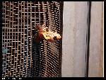 nEO_IMG_P1000133