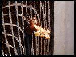 nEO_IMG_P1000137