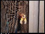 nEO_IMG_P1000142