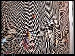 nEO_IMG_P1000153