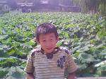 IMG0353A
