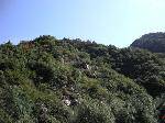 DSCN1938