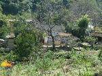 DSCN2014