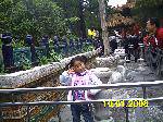 IMAG0047