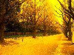 7_271741_6376f8e1c9244de