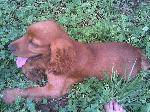 20070712(007)