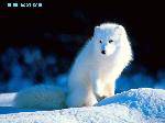 1fac79d295ab8a11960a16ea