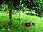 baa2ef12ea3358a56438db43