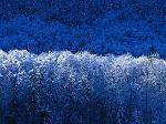 Winter4846