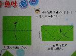 DSCN2865